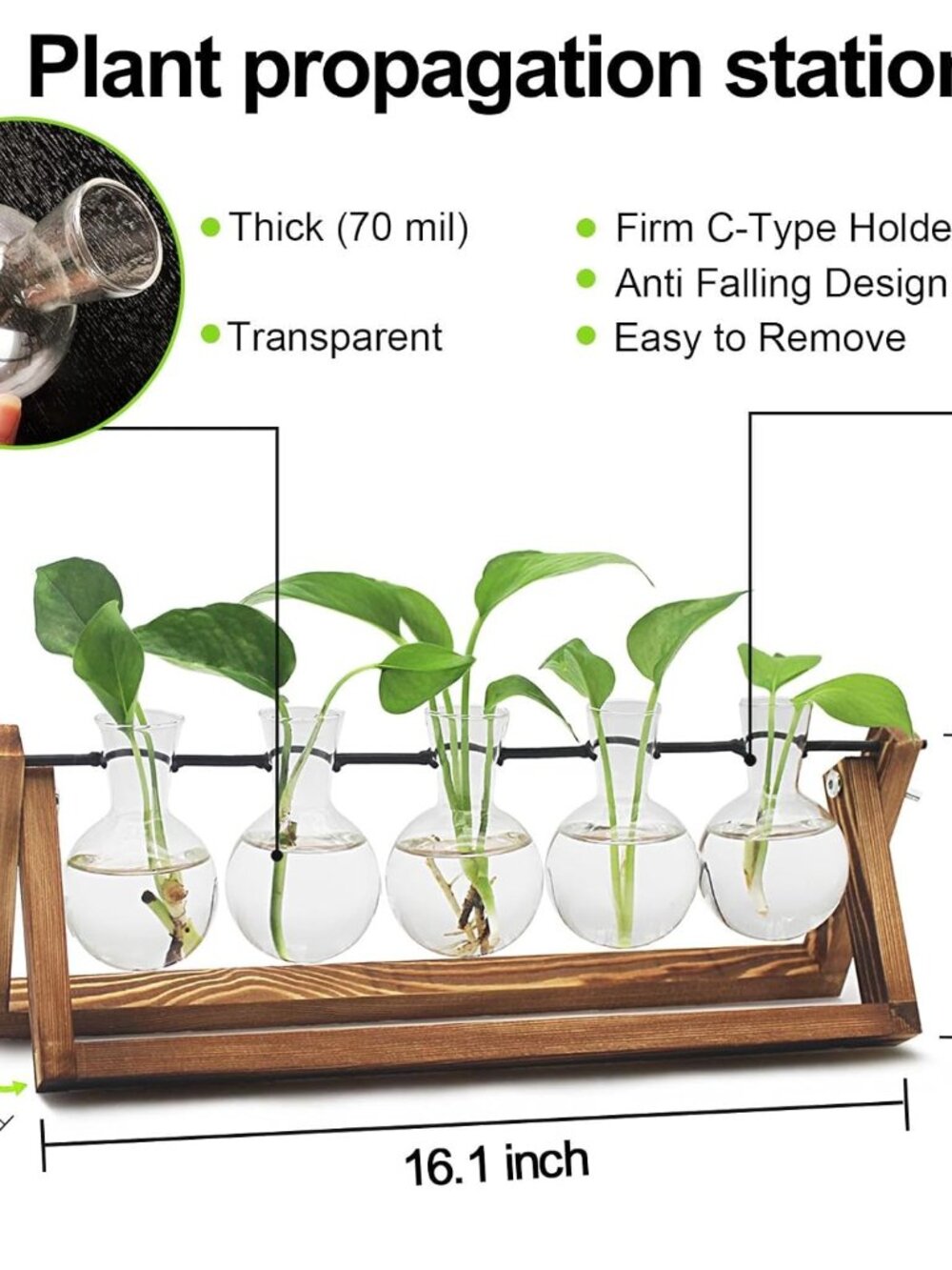 Plant Propagation Station, Propagation Vases For Plants, Unique Gardening Birthd View 2